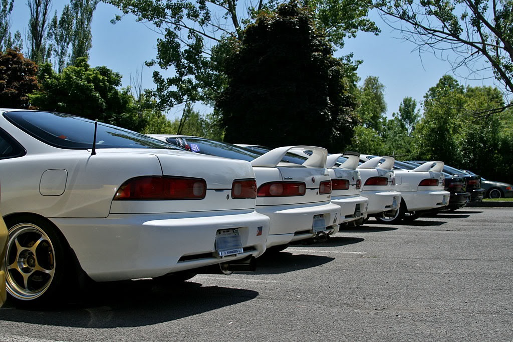 Name:  IMG_0958copy.jpg
Views: 24
Size:  200.9 KB