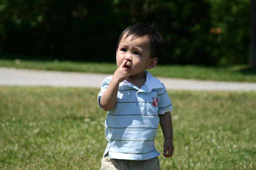 Name:  IMG_0950copy.jpg
Views: 24
Size:  73.2 KB