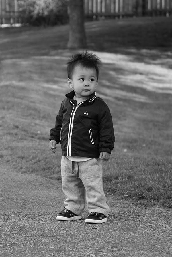 Name:  IMG_0604copy.jpg
Views: 18
Size:  89.0 KB