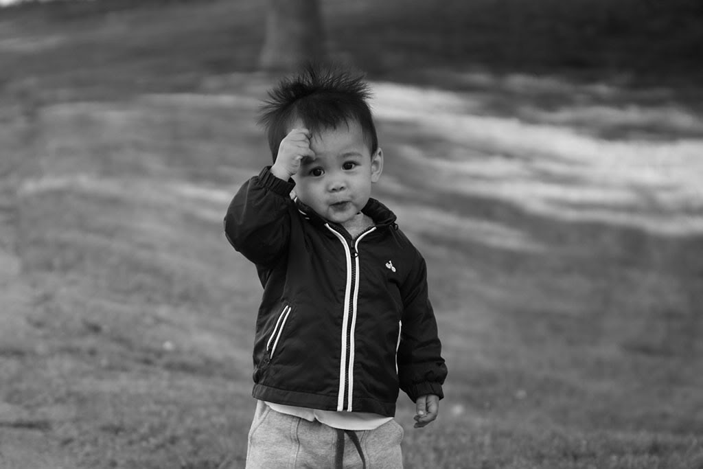 Name:  IMG_0609copy.jpg
Views: 16
Size:  51.1 KB