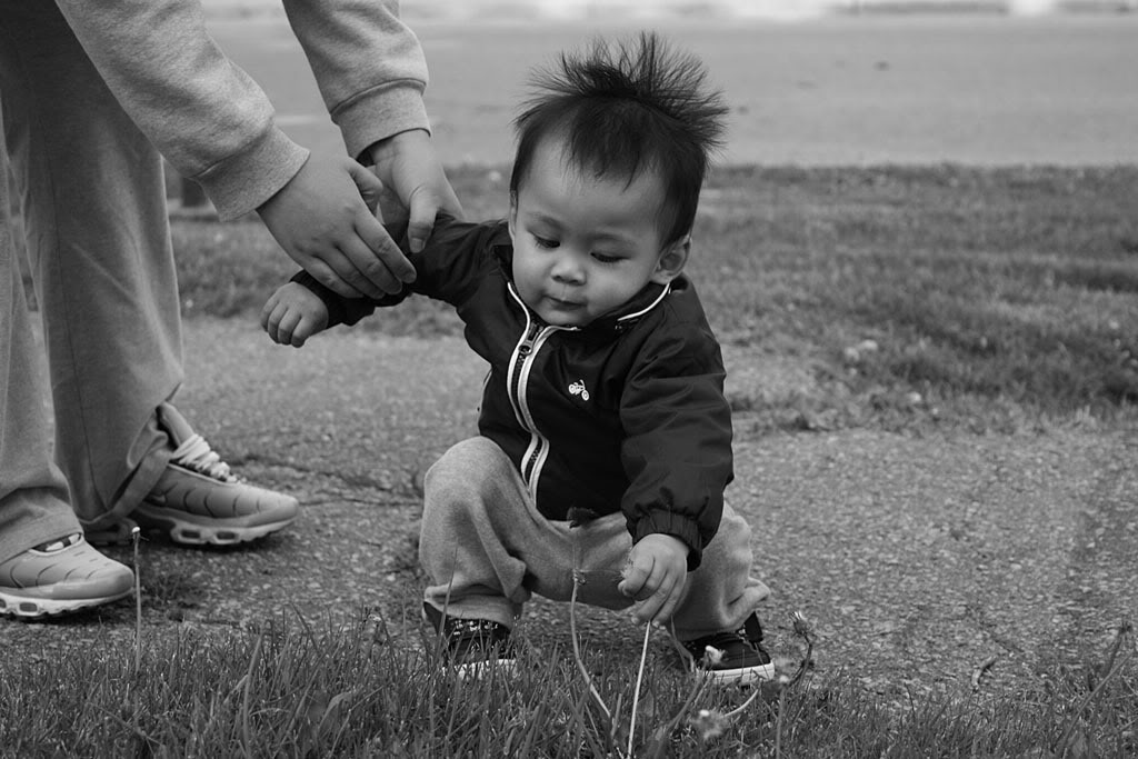 Name:  IMG_0599copy.jpg
Views: 19
Size:  123.0 KB