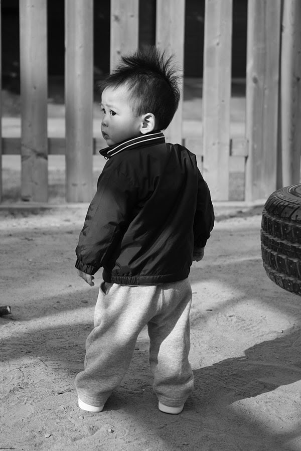 Name:  IMG_0594copy.jpg
Views: 18
Size:  83.7 KB