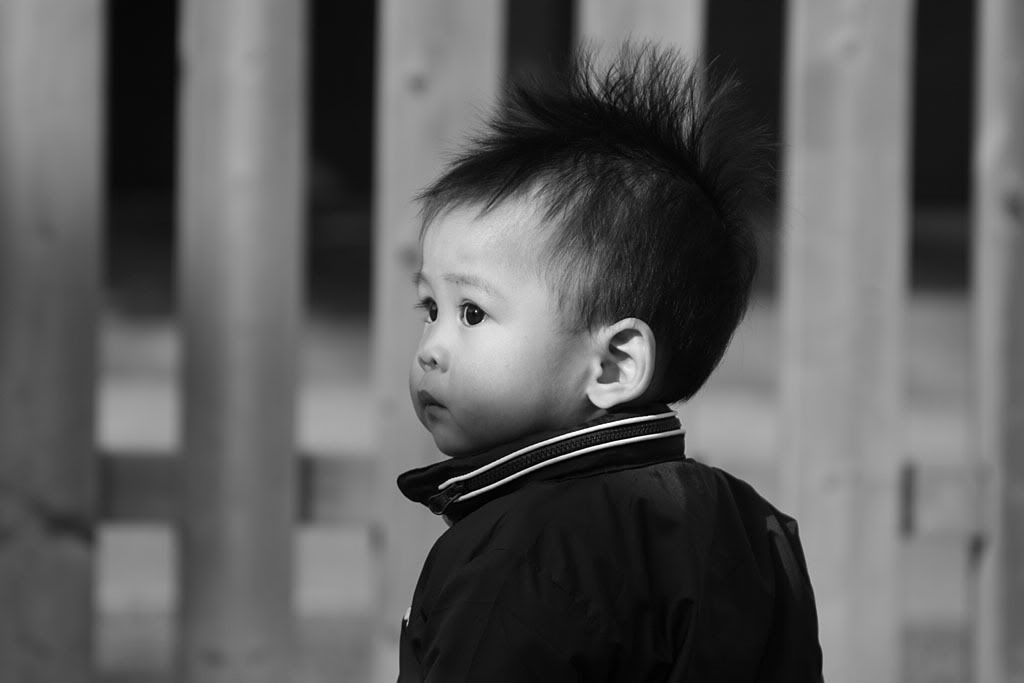 Name:  IMG_0596copy.jpg
Views: 18
Size:  46.5 KB