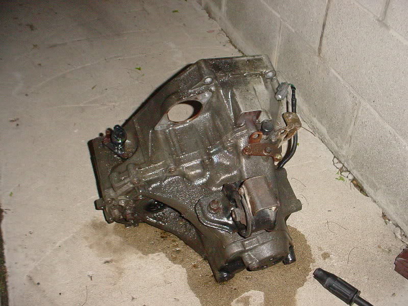 Name:  Picture107.jpg
Views: 18
Size:  99.8 KB