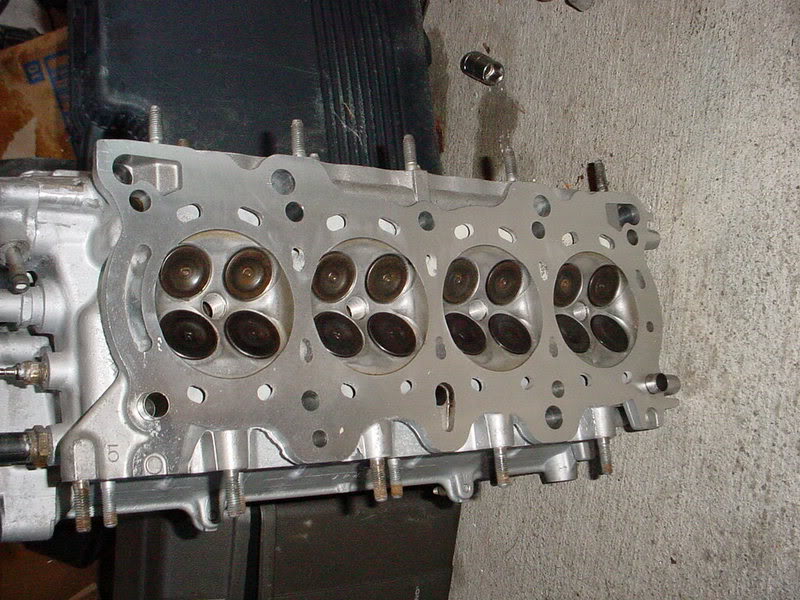 Name:  Picture056.jpg
Views: 15
Size:  110.4 KB