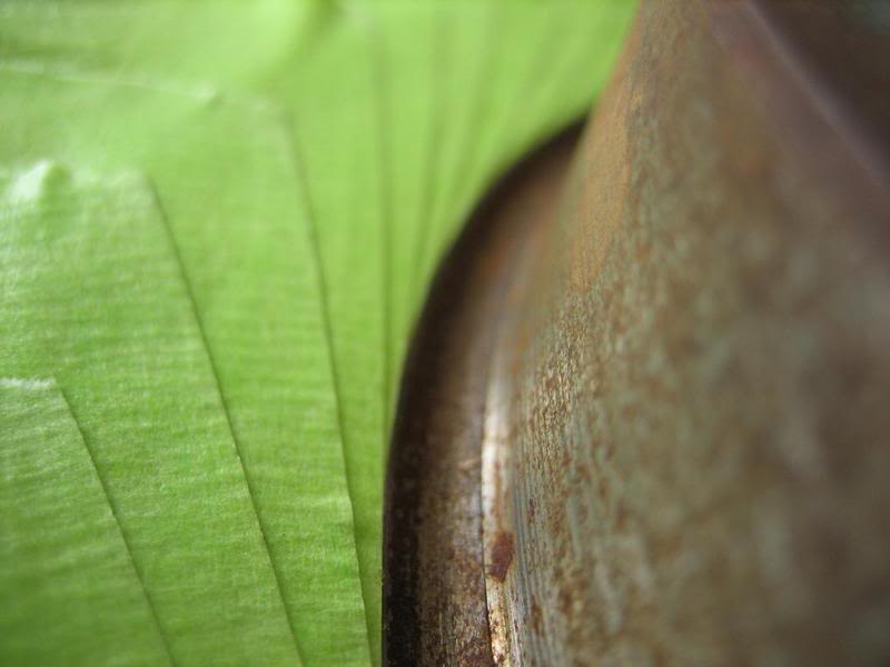 Name: IMG_3075.jpg
Views: 18
Size: 35.6 KB