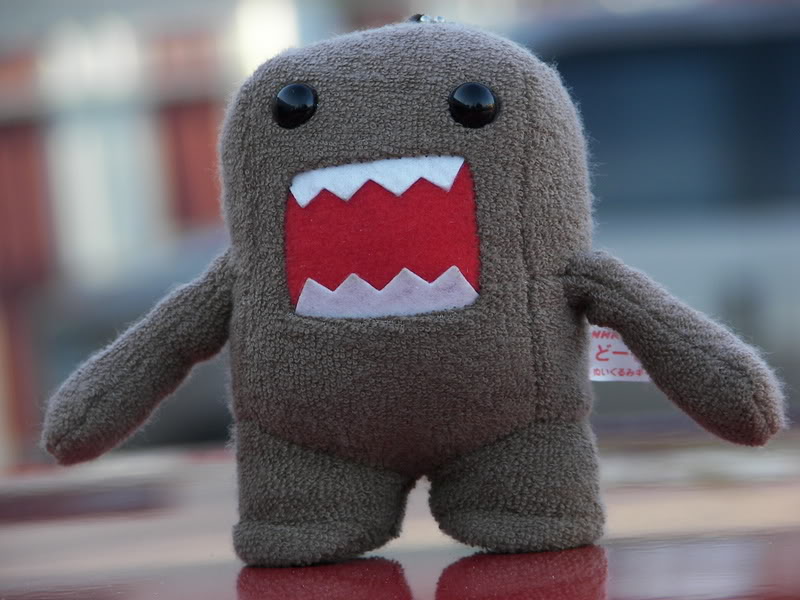 Name:  100_0421.jpg
Views: 20
Size:  83.0 KB