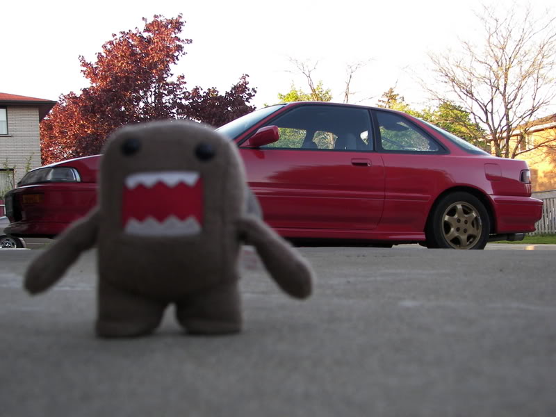 Name:  100_0448.jpg
Views: 19
Size:  74.1 KB