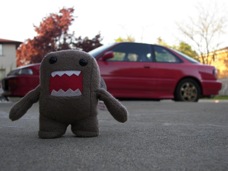 Name:  100_0449.jpg
Views: 20
Size:  66.7 KB