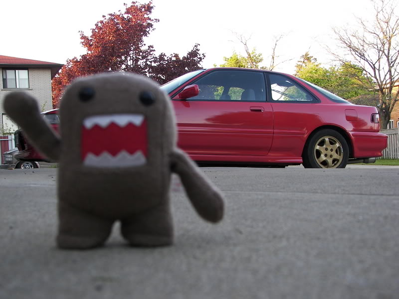 Name:  100_0451.jpg
Views: 20
Size:  77.1 KB