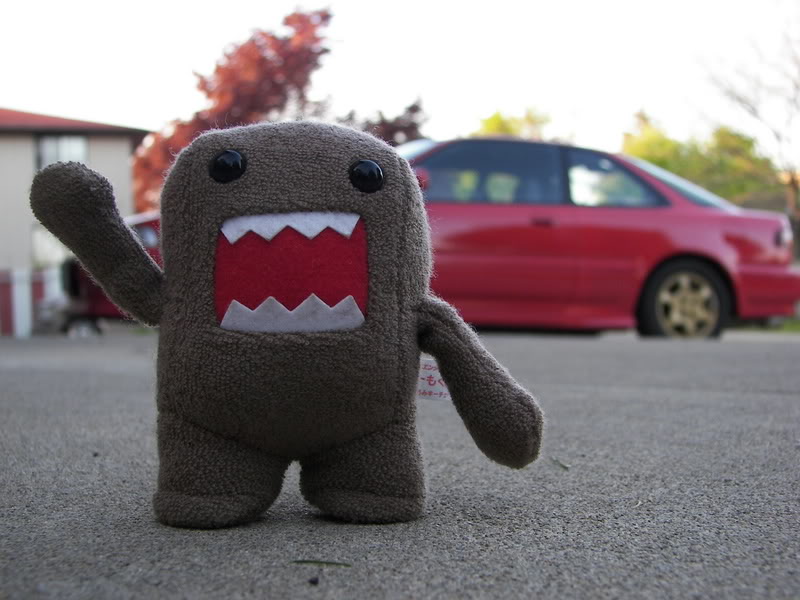 Name:  100_0452.jpg
Views: 20
Size:  80.4 KB