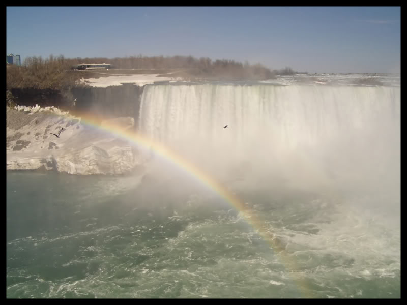 Name:  IMGP0051_filtered.jpg
Views: 9
Size:  47.5 KB