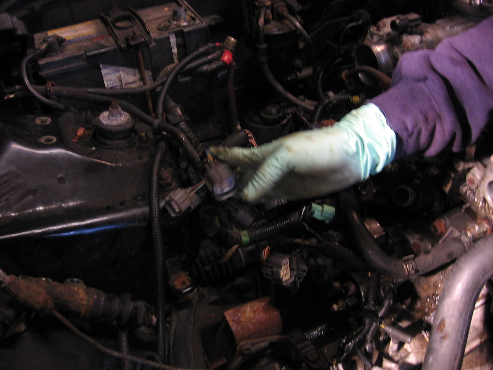 Name: IMG_1049.jpg
Views: 10
Size: 174.0 KB