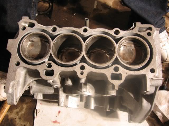 Name: IMG_0983.jpg
Views: 10
Size: 52.8 KB