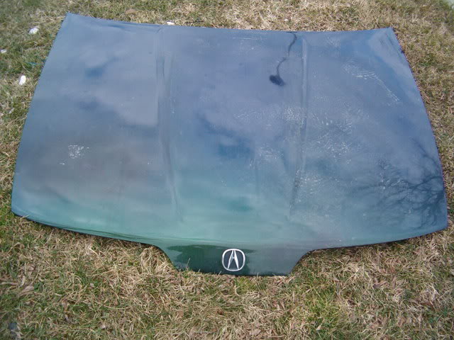 Name:  Hood.jpg
Views: 18
Size:  71.7 KB