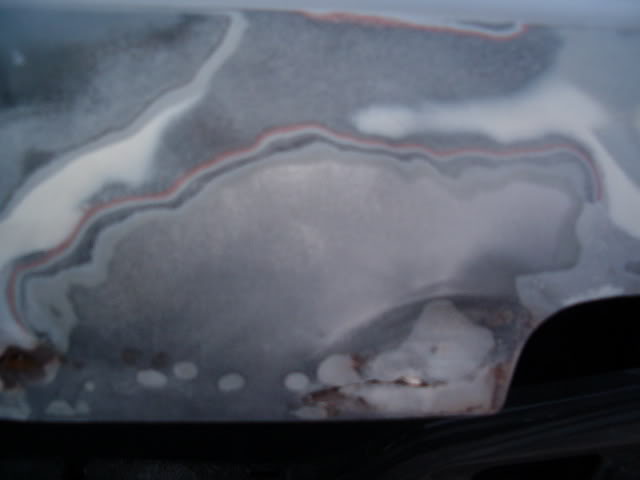 Name:  rustanddentsundermorebodyfiller.jpg
Views: 15
Size:  18.8 KB