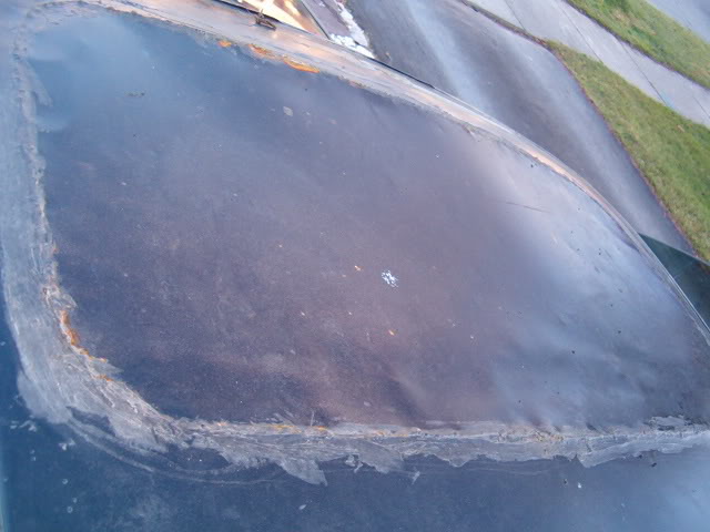 Name:  HPIM2955.jpg
Views: 23
Size:  43.6 KB