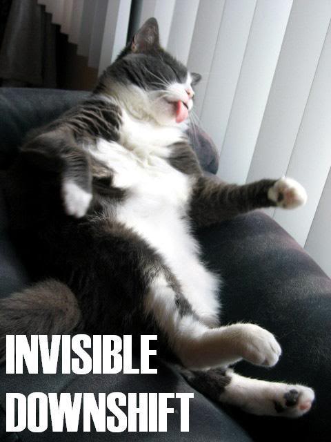 Name:  yikers_invisible_downshift1.jpg
Views: 16
Size:  41.9 KB