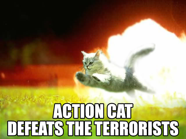 Name:  actioncat.jpg
Views: 15
Size:  42.8 KB