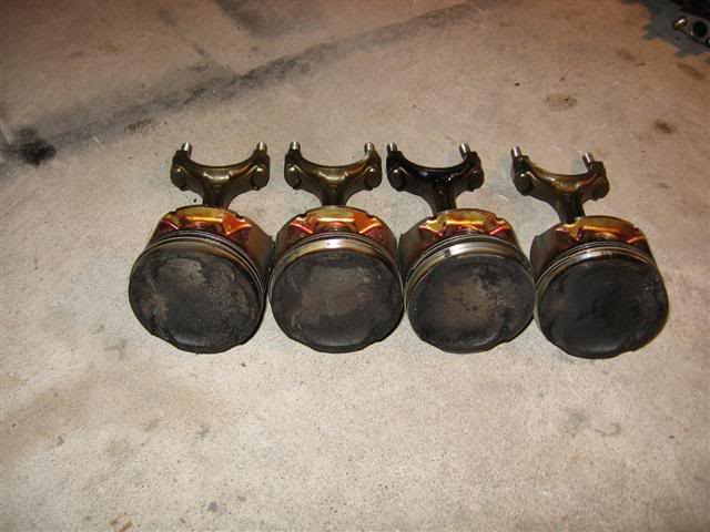 Name:  IMG_8781Small.jpg
Views: 18
Size:  45.9 KB