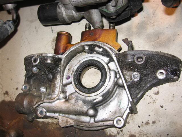 Name:  IMG_8758Small.jpg
Views: 19
Size:  59.1 KB