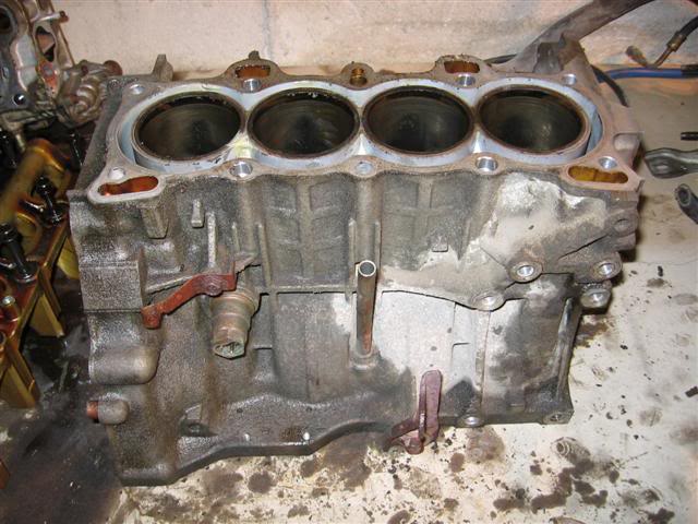 Name:  IMG_8775Small.jpg
Views: 17
Size:  58.9 KB