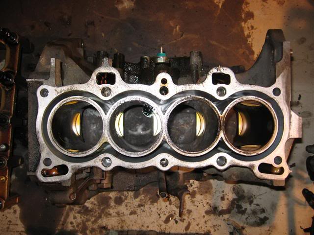 Name:  IMG_8777Small.jpg
Views: 16
Size:  54.3 KB