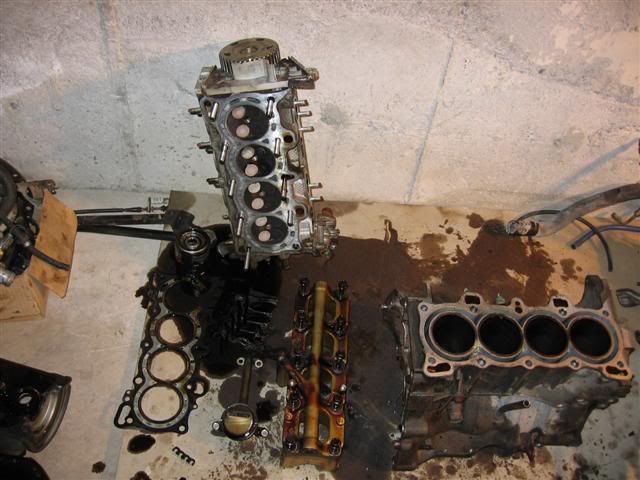 Name:  IMG_8778Small.jpg
Views: 18
Size:  52.2 KB