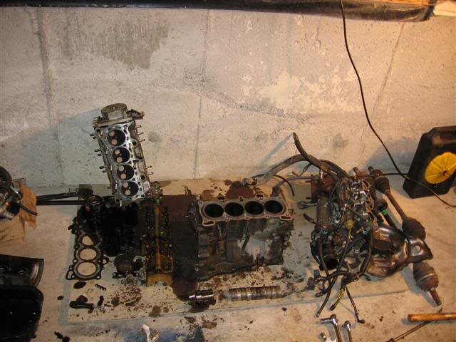 Name:  IMG_8780Small.jpg
Views: 17
Size:  52.7 KB