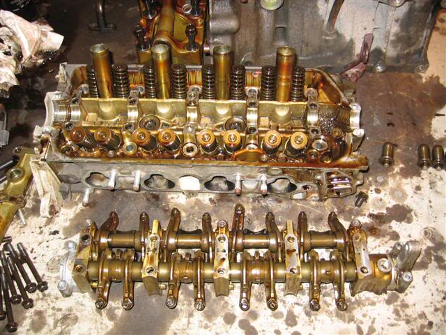 Name:  IMG_8783Small.jpg
Views: 18
Size:  76.5 KB