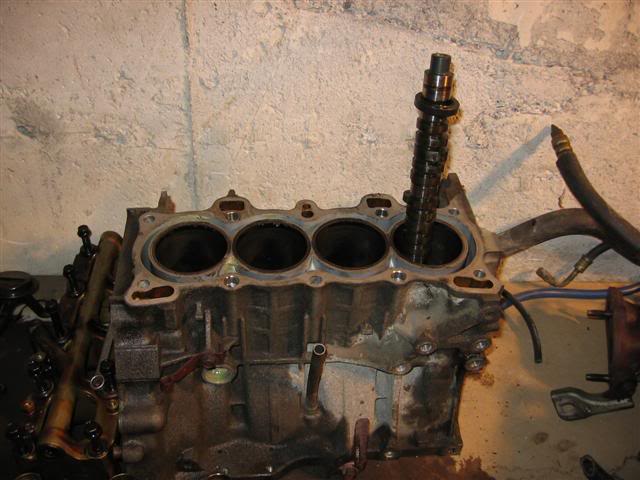 Name:  IMG_8785Small.jpg
Views: 18
Size:  47.4 KB