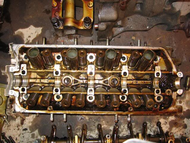 Name:  IMG_8787Small.jpg
Views: 17
Size:  72.1 KB