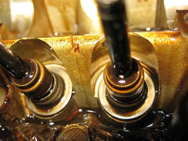 Name:  IMG_8790Small.jpg
Views: 20
Size:  51.7 KB