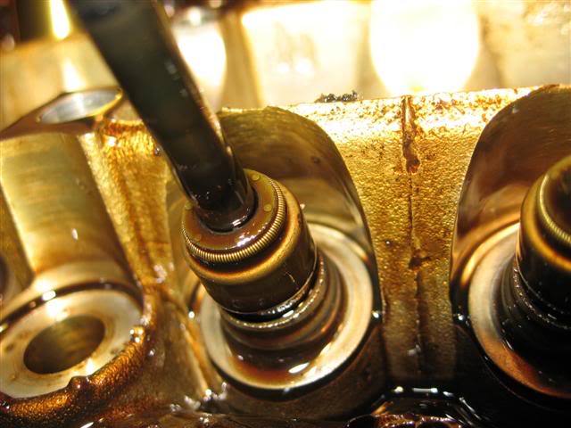 Name:  IMG_8797Small.jpg
Views: 19
Size:  48.3 KB