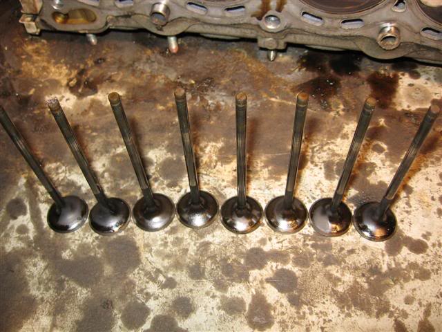 Name:  IMG_8798Small.jpg
Views: 19
Size:  60.4 KB