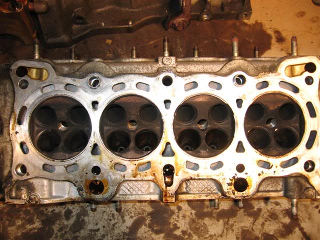 Name:  IMG_8802Small.jpg
Views: 19
Size:  59.9 KB