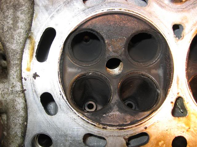 Name:  IMG_8803Small.jpg
Views: 21
Size:  57.5 KB