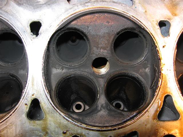 Name:  IMG_8804Small.jpg
Views: 18
Size:  54.1 KB