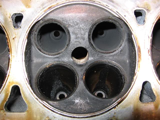 Name:  IMG_8805Small.jpg
Views: 16
Size:  58.0 KB