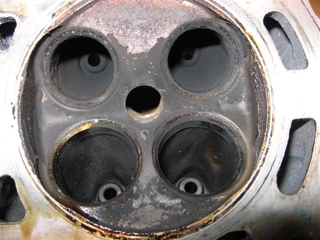 Name:  IMG_8806Small.jpg
Views: 18
Size:  55.6 KB