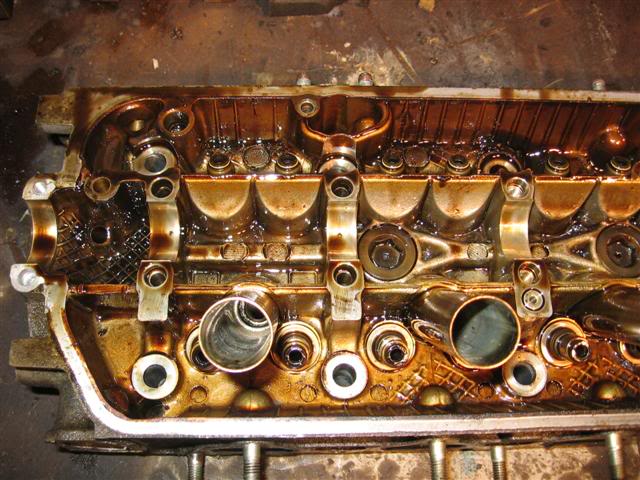 Name:  IMG_8808Small.jpg
Views: 17
Size:  71.5 KB