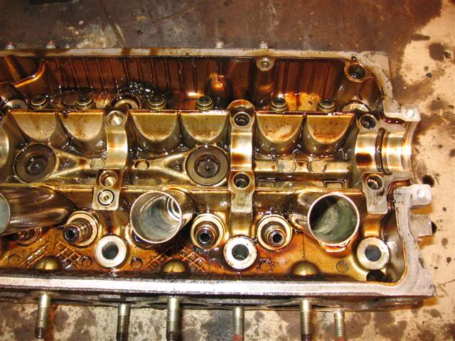 Name:  IMG_8809Small.jpg
Views: 20
Size:  72.6 KB