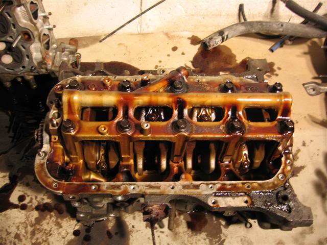 Name:  IMG_8734Small.jpg
Views: 22
Size:  57.2 KB