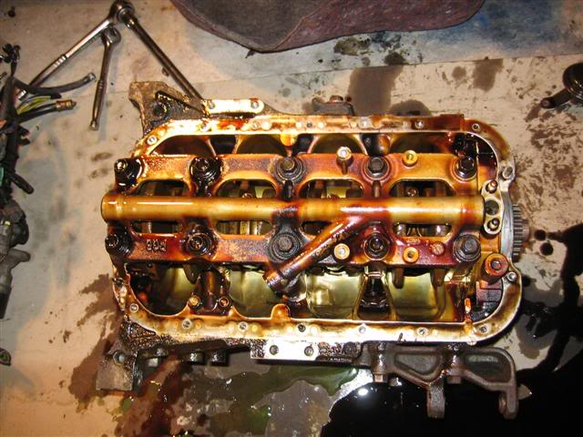 Name:  IMG_8736Small.jpg
Views: 58
Size:  65.2 KB