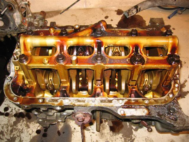 Name:  IMG_8737Small.jpg
Views: 18
Size:  68.9 KB