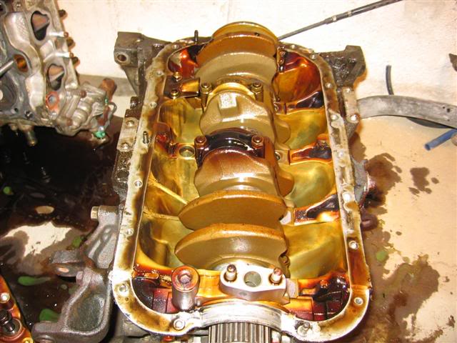 Name:  IMG_8739Small.jpg
Views: 20
Size:  60.0 KB