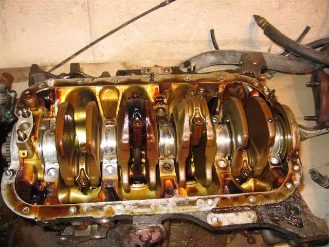 Name:  IMG_8740Small.jpg
Views: 19
Size:  62.9 KB