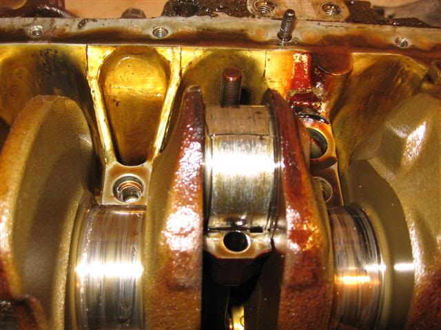 Name:  IMG_8741Small.jpg
Views: 20
Size:  52.0 KB