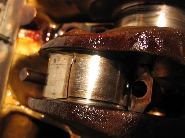 Name:  IMG_8744Small.jpg
Views: 21
Size:  37.5 KB