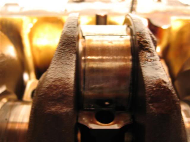 Name:  IMG_8745Small.jpg
Views: 17
Size:  30.3 KB